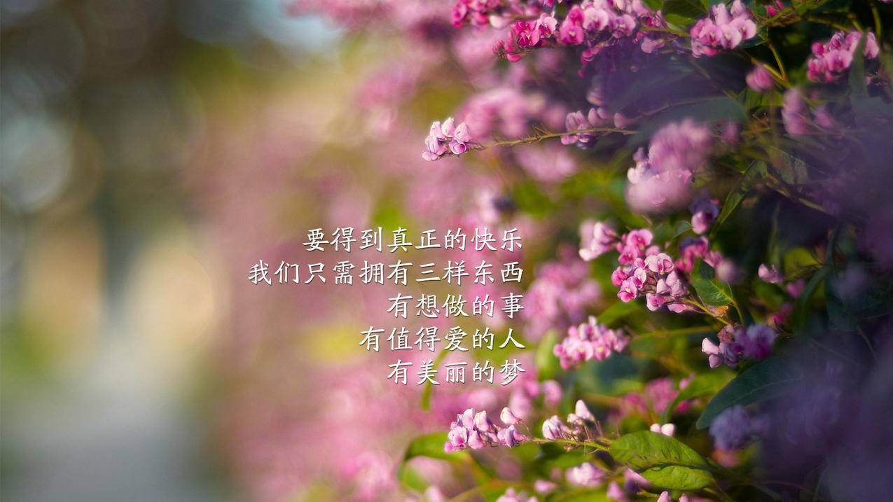 抖音粉丝真人业务下单,抖音点赞自助平台24小时全网最低,抖音二十四小时点赞自助平台